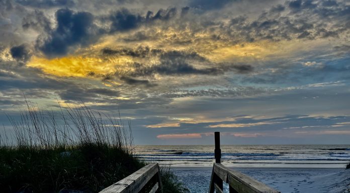 Tips for Keeping Your Family Safe From Summer Toxins