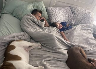 Confessions of a Co-Sleeping Mom co-sleeping