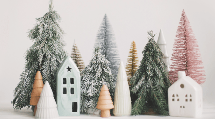 Jacksonville’s BEST Holiday Events Guide Jacksonville's BEST Holiday Events Guide