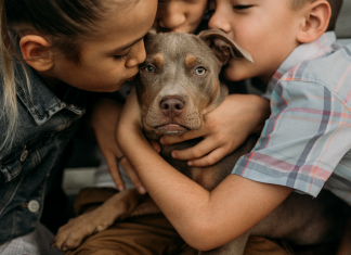 We Decided to Adopt, Not Shop, for Our Fur Baby pet adoption