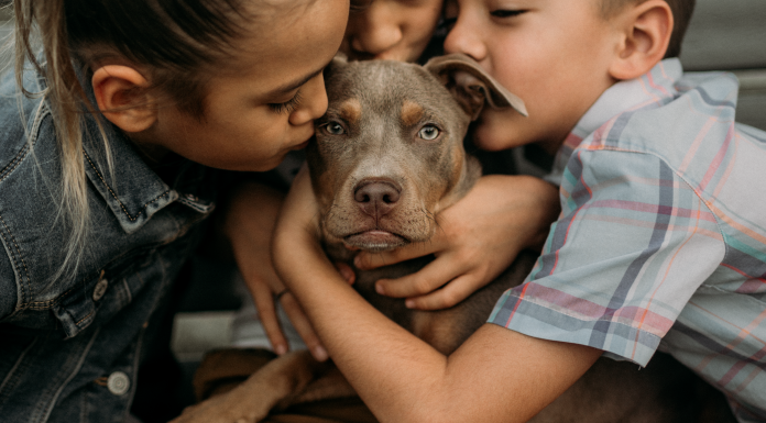 We Decided to Adopt, Not Shop, for Our Fur Baby pet adoption