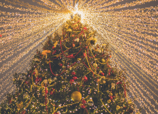 Holiday Light Displays and Tree Lightings in Jacksonville Jacksonville's BEST Holiday Events Guide