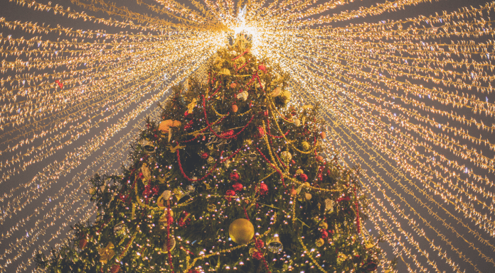 Holiday Light Displays and Tree Lightings in Jacksonville Jacksonville's BEST Holiday Events Guide