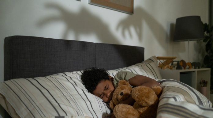 Lions, Tigers, Bears… and Nightmares! nightmares