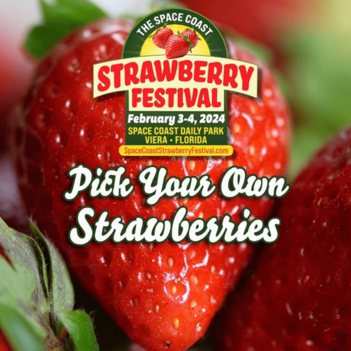 Strawberry Picking Farms & Festivals Near Jacksonville