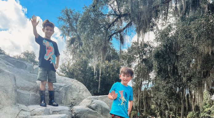 Jacksonville Day Trip: Gainesville’s Hidden Gems