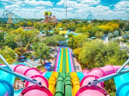 Water Park Day Trips from Jacksonville Water Park Day Trips from Jacksonville