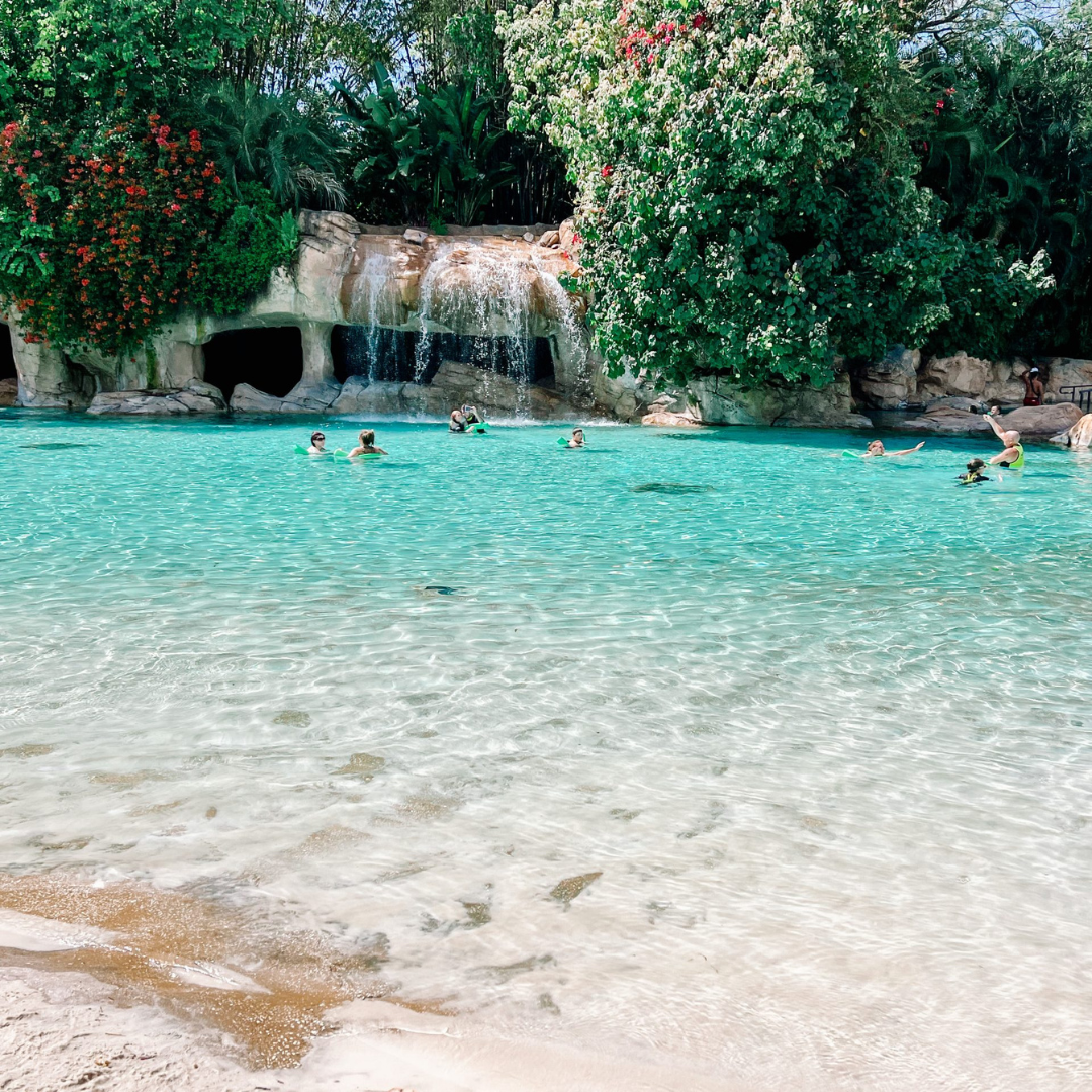 Discovery Cove Water Park Day Trips from Jacksonville