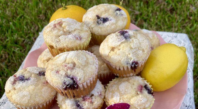 Lemon Love: Fun & Kid-Friendly Recipes for Leftover Citrus lemon recipes