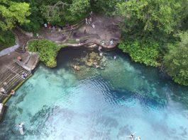 Kid-Friendly Day Trips from Jacksonville day trips from jacksonville