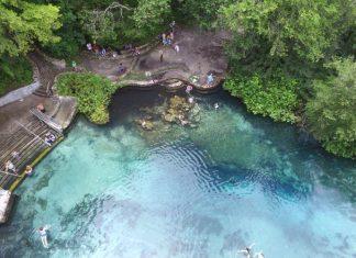 Kid-Friendly Day Trips from Jacksonville day trips from jacksonville