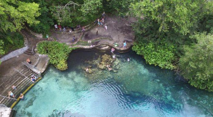 Kid-Friendly Day Trips from Jacksonville day trips from jacksonville