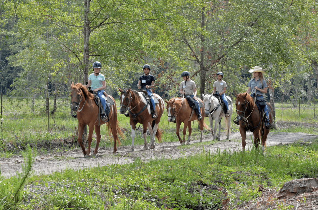 Kid-Friendly Day Trips from Jacksonville