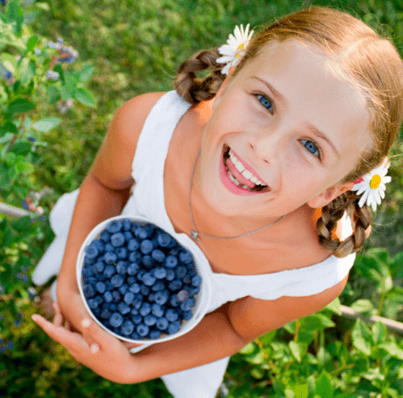 U-Pick Blueberry Farms in Florida