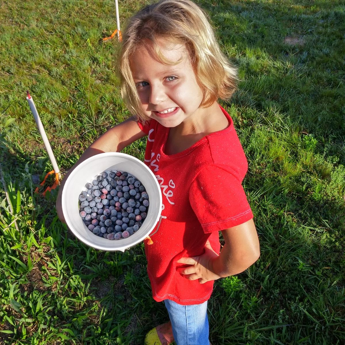 Kent's Blueberry Farm