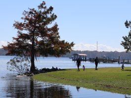 Live Like a Local: Summer Fun on the St. Johns River st. johns river