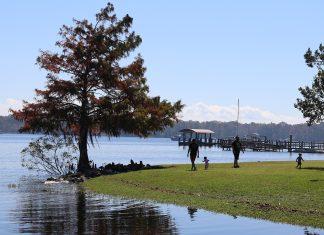 Live Like a Local: Summer Fun on the St. Johns River st. johns river
