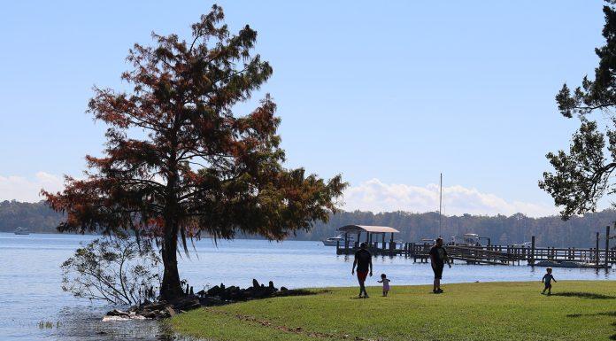 Live Like a Local: Summer Fun on the St. Johns River st. johns river