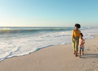 Life Lessons From Summer Shark Tooth Hunting shark tooth hunting