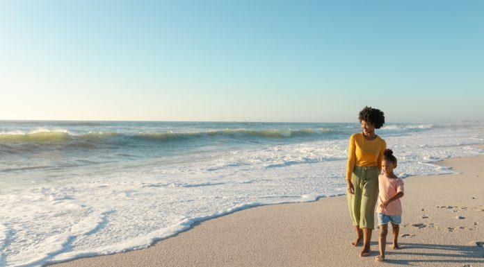 Life Lessons From Summer Shark Tooth Hunting shark tooth hunting