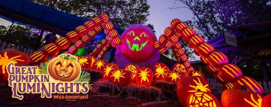 Great Pumpkin LumiNights | Wild Adventures Theme Park