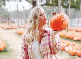 Just Trying to Be a Basic Fall B in Florida basic fall b