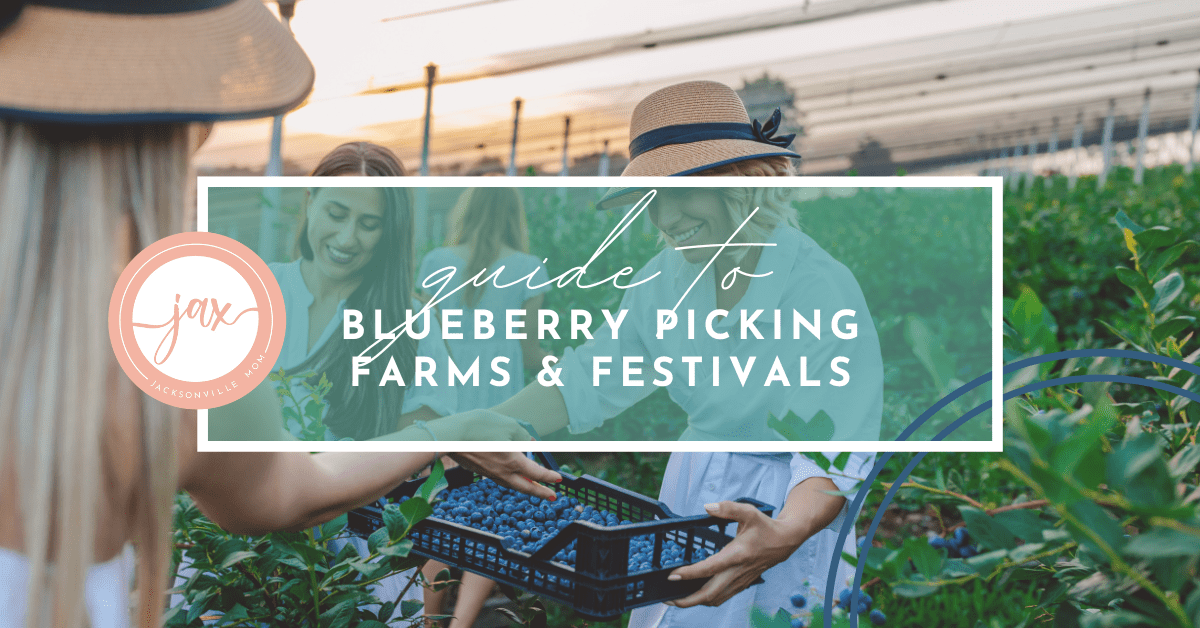 Blueberry Farms & Festivals in Jacksonville