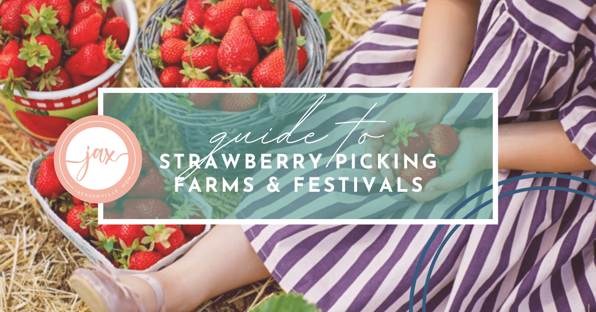 Strawberry Farms & Festivals in Jacksonville