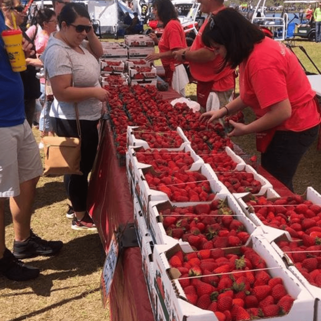 Strawberry Farms & Festivals near Jacksonville