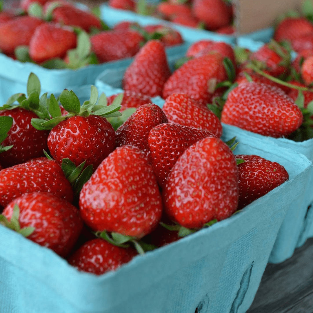 Strawberry Farms & Festivals near Jacksonville