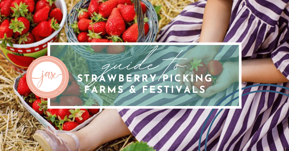 Strawberry Picking Farms & Festivals Near Jacksonville