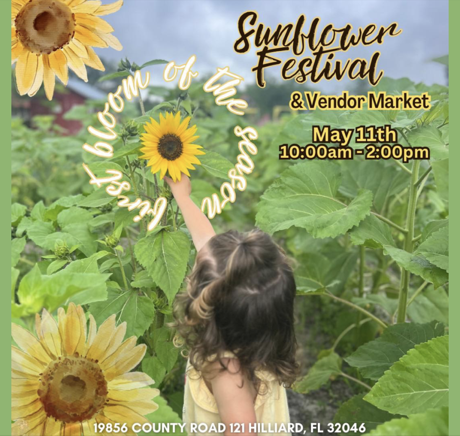 Sunflower Festival and Vendor Market | Conners A-Maize-ing Acres