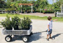 Plant Therapy: Our Favorite Garden Centers & Plant Nurseries plants