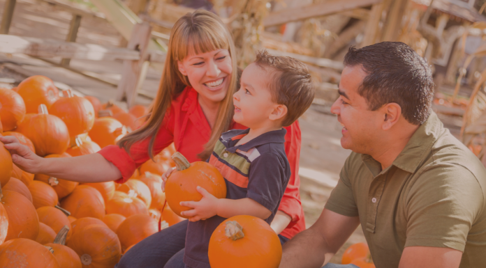 The 2025 Guide to Fall Festivals & Markets Fun In and Around Jacksonville Jacksonville’s Guide to Halloween and Fall Festival Fun