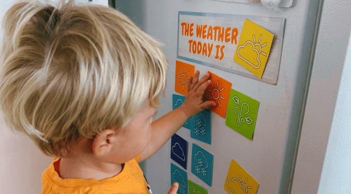 Bracing for Another Blow: Prepping for Hurricane Milton So Soon After Helene hurricane milton