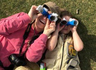 Fun, Simple STEM Experiments for Young Explorers stem experiments