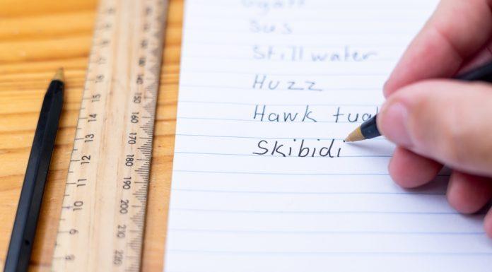‘Sup, Skibidi Rizzler? A Mom’s Guide to Teen Slang teen slang