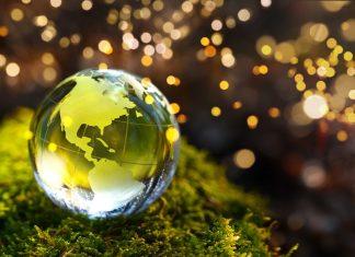‘Tis the Season for Sustainability sustainable
