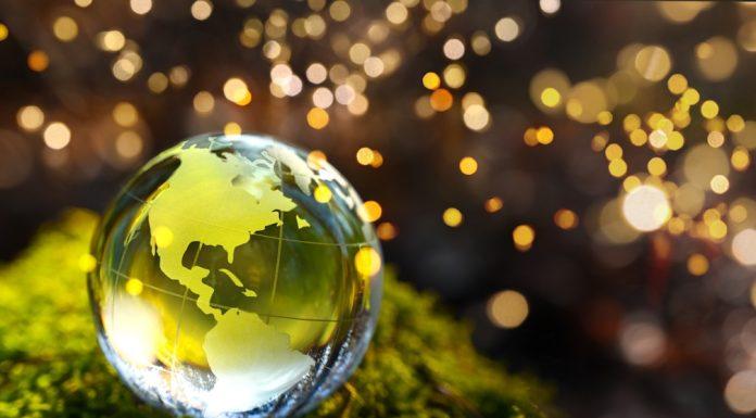 ‘Tis the Season for Sustainability sustainable