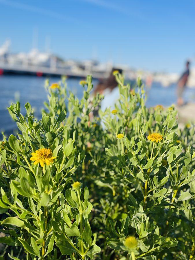 How This Florida Girl Tries to Keep the Winter Blues Away winter blues