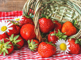 Strawberry Picking Farms & Festivals Near Jacksonville Strawberry Picking Farms & Festivals In & Around Jacksonville
