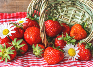 Strawberry Picking Farms & Festivals Near Jacksonville Strawberry Picking Farms & Festivals In & Around Jacksonville