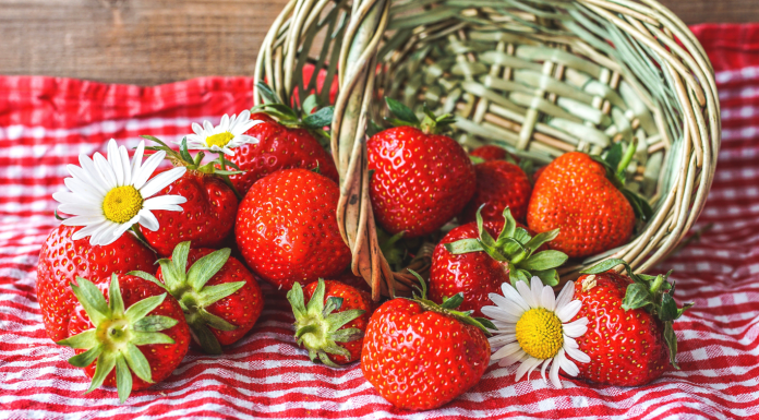 Strawberry Picking Farms & Festivals Near Jacksonville Strawberry Picking Farms & Festivals In & Around Jacksonville