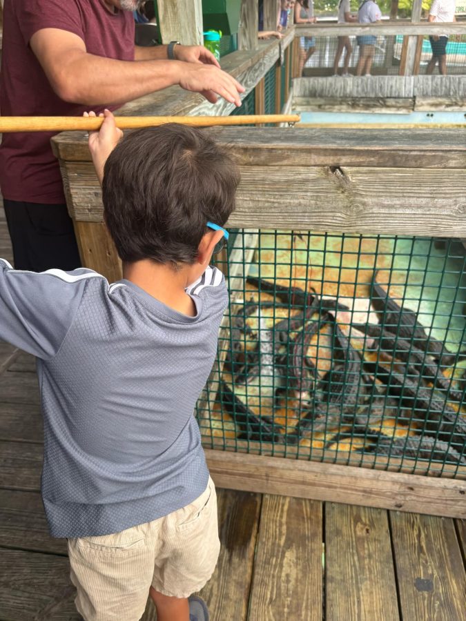 Jacksonville Day Trip: Gatorland in Orlando gatorland