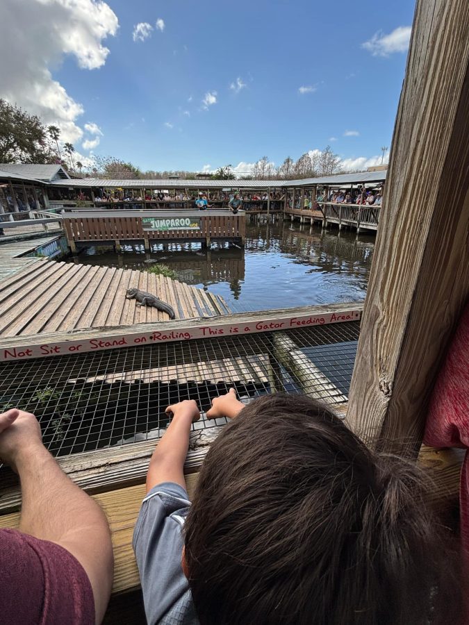 Jacksonville Day Trip: Gatorland in Orlando gatorland