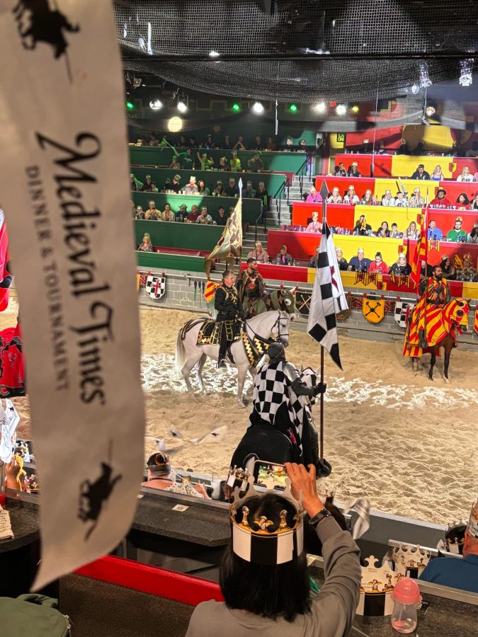 Jacksonville Day Trip: Medieval Times in Orlando medieval times