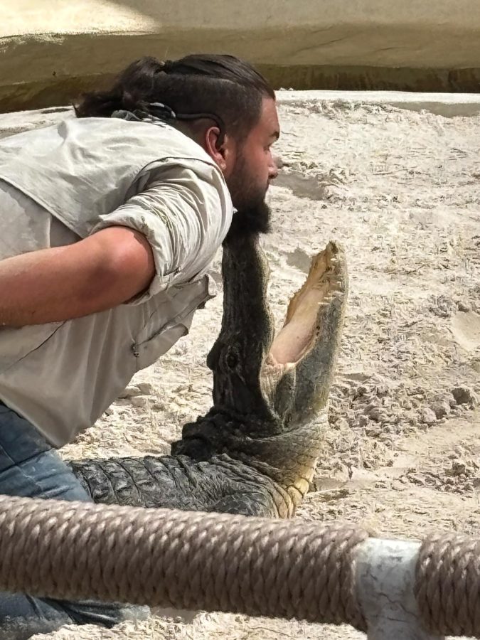 Jacksonville Day Trip: Gatorland in Orlando gatorland