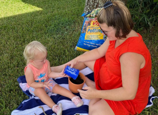 Spring Has Sprung! Forecasting Fun and Fresh Starts for Moms