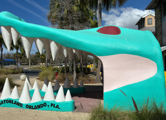 Jacksonville Day Trip: Gatorland in Orlando gatorland