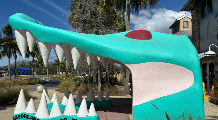 Jacksonville Day Trip: Gatorland in Orlando gatorland